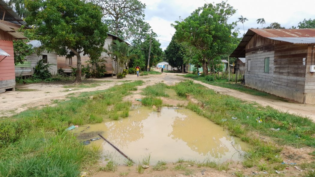 Fortalecimento da Associação de Desenvolvimento Artístico e Cultural da Aldeia Indígena de Belém do Solimões (ADACAIBS) para a conservação de ecossistemas fluviais na Amazônia